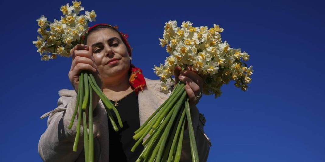 Kokusuyla fark atıyor, kadınlara gelir oluyor! Karaburun’da mis kokulu hasat: Sonbaharda başlıyor kış boyu sürüyor 10